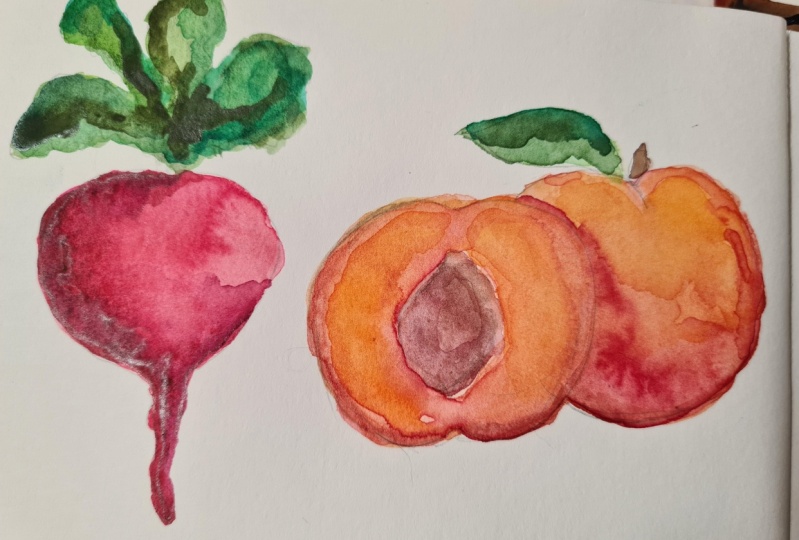 Watercolour Fruit (new to watercolour in June 2024)