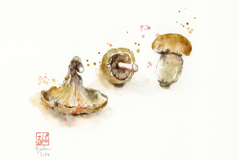 Autumn mushrooms