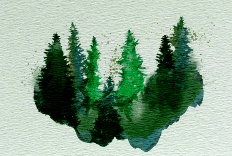 Water color Forest