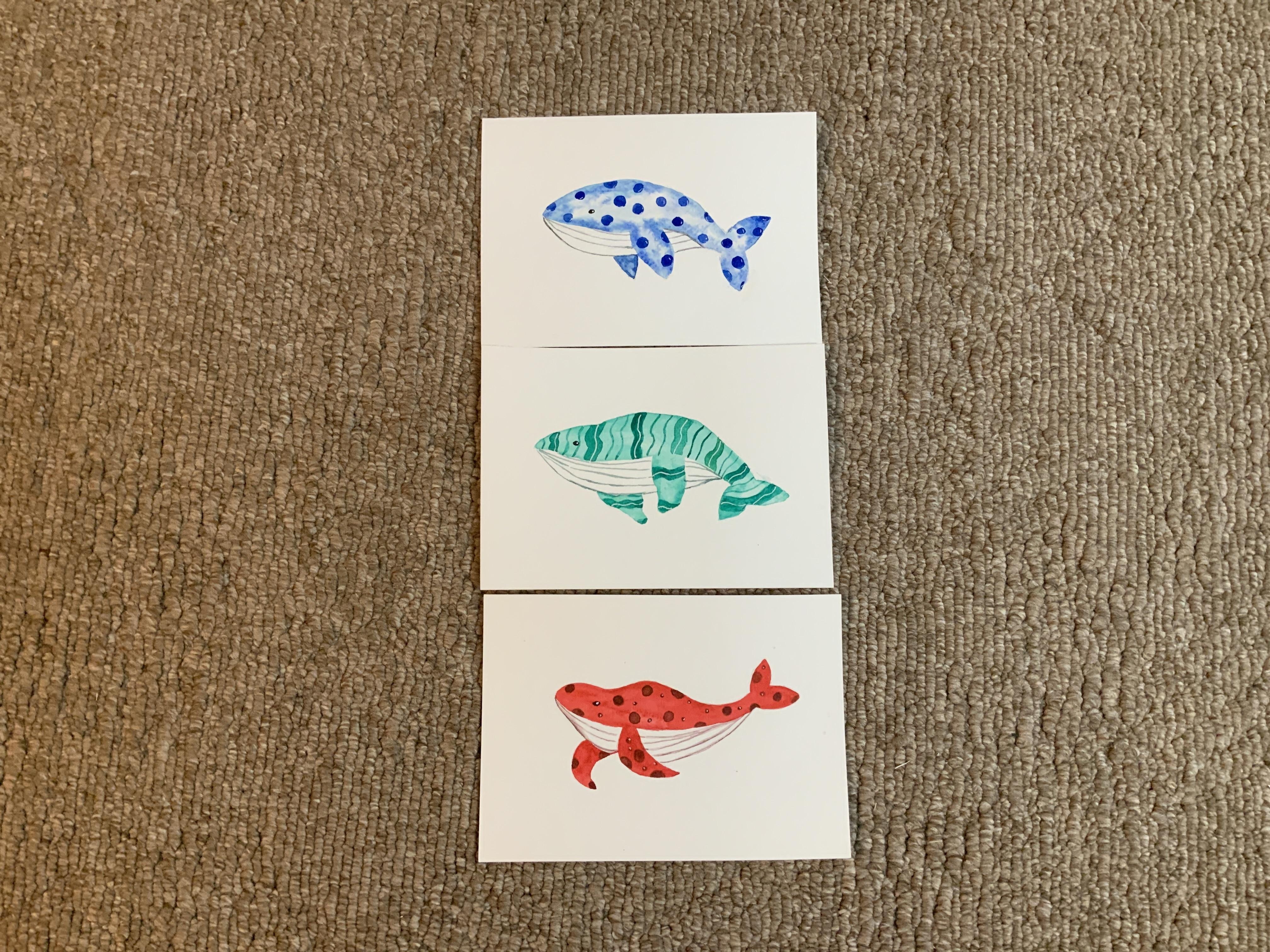 more-projects-from-class-img