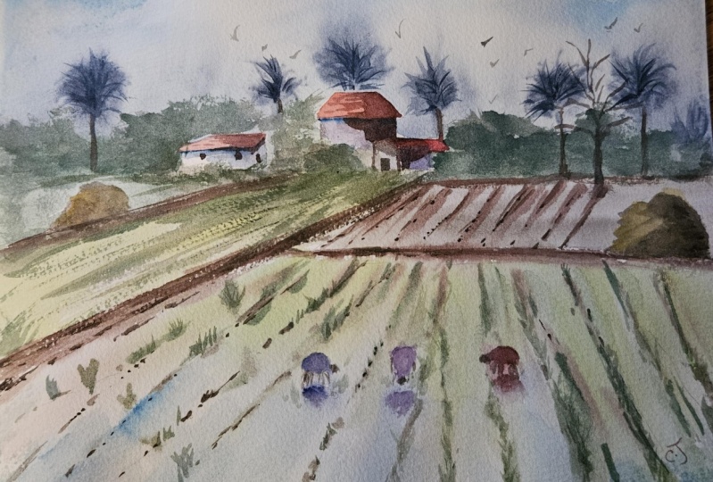 Monsoon fields