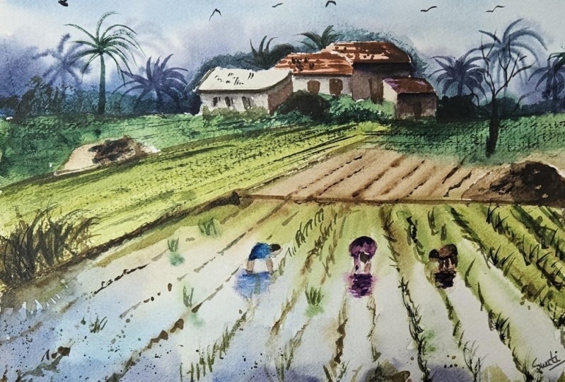 Monsoon fields