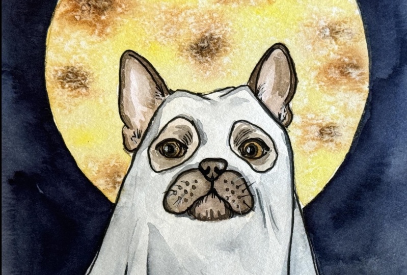 Ghost Dog & Cats