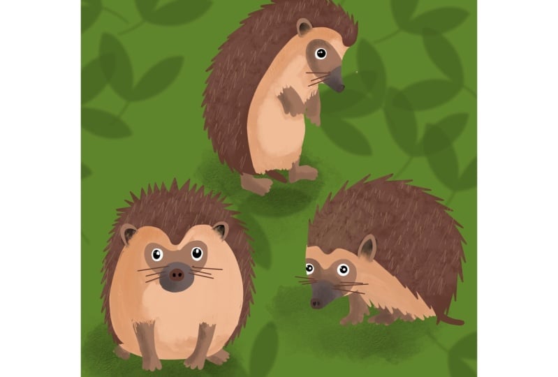 Hedgehog