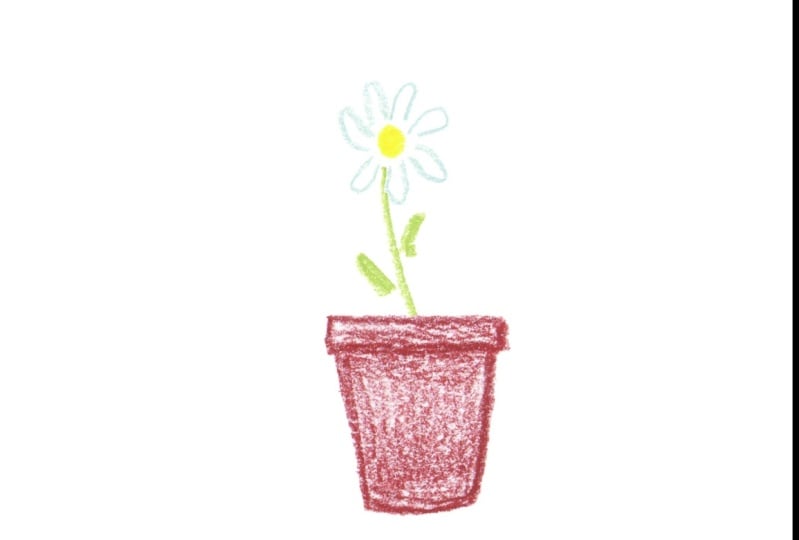 Sirotnak-Daisy Frame Animation