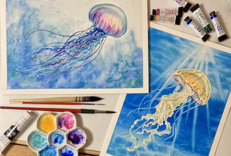 Jellyfish exploration series