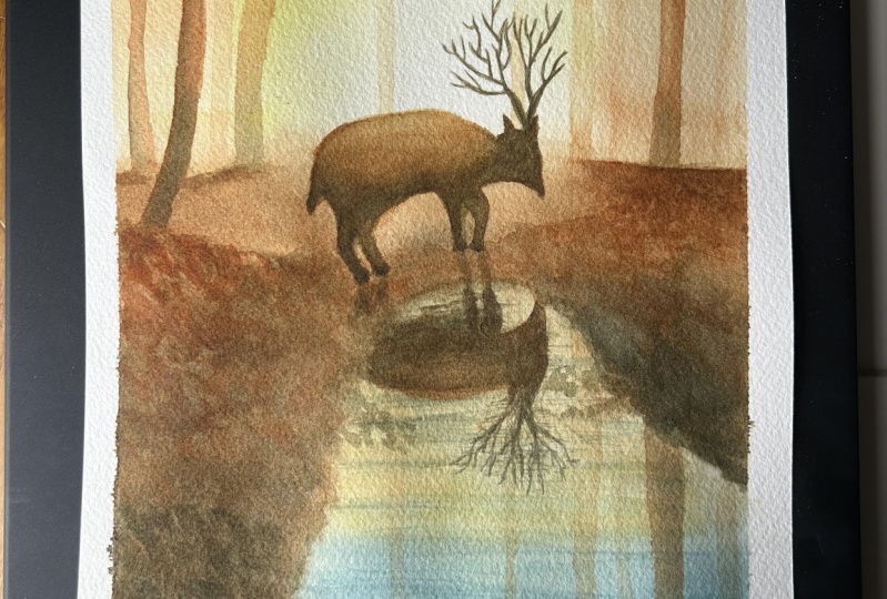 Forest Landscape