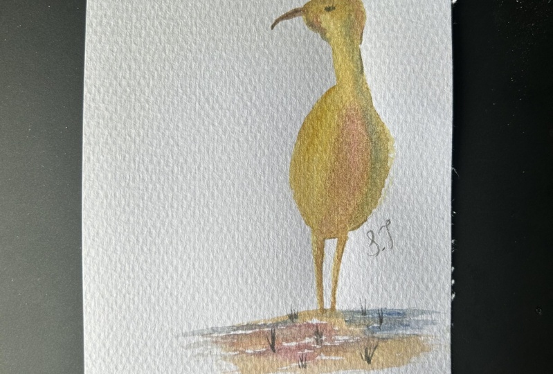 Golden Hour Crane