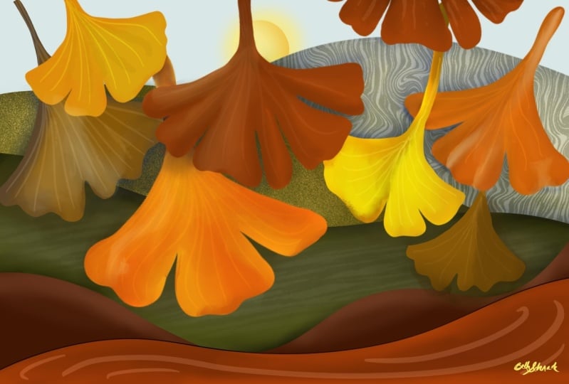 Ginkgo