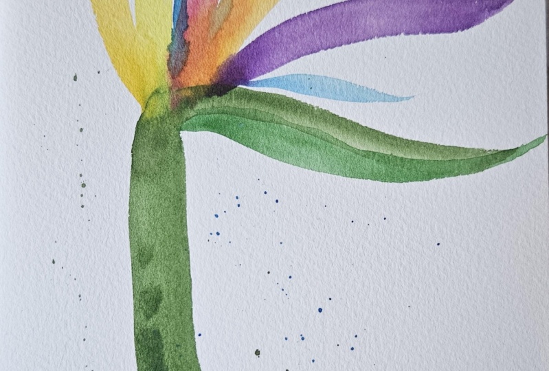 Fantasy bird of paradise