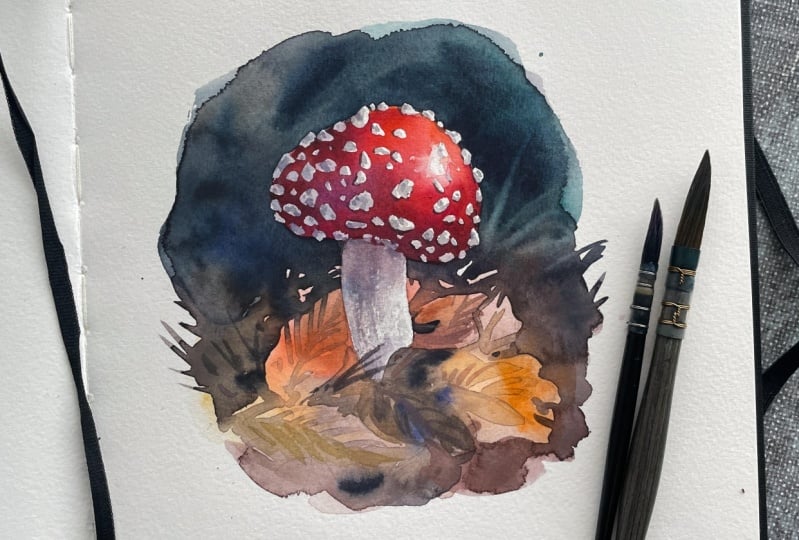 Mushroom harvest