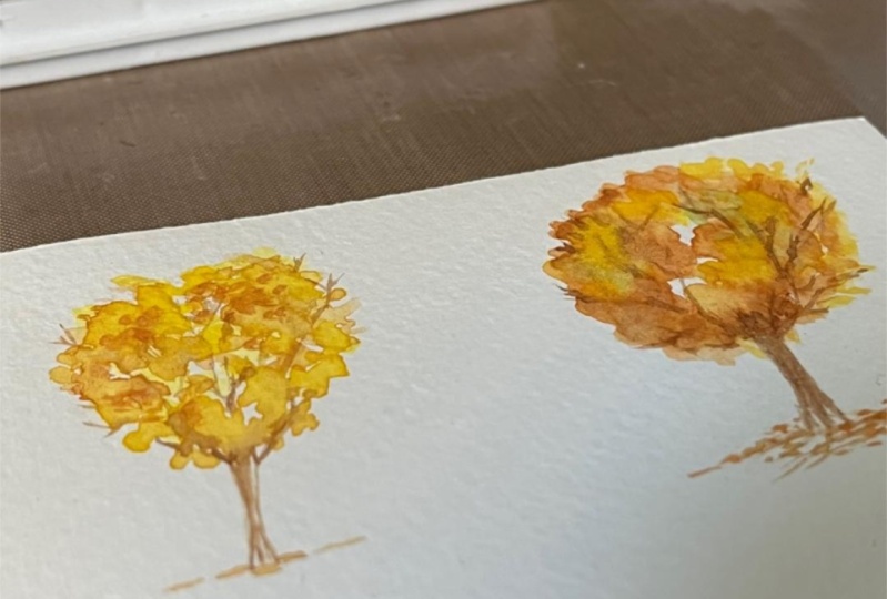 Fall for me is all about the tree