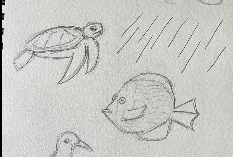 Draw Anything with Basic Shapes