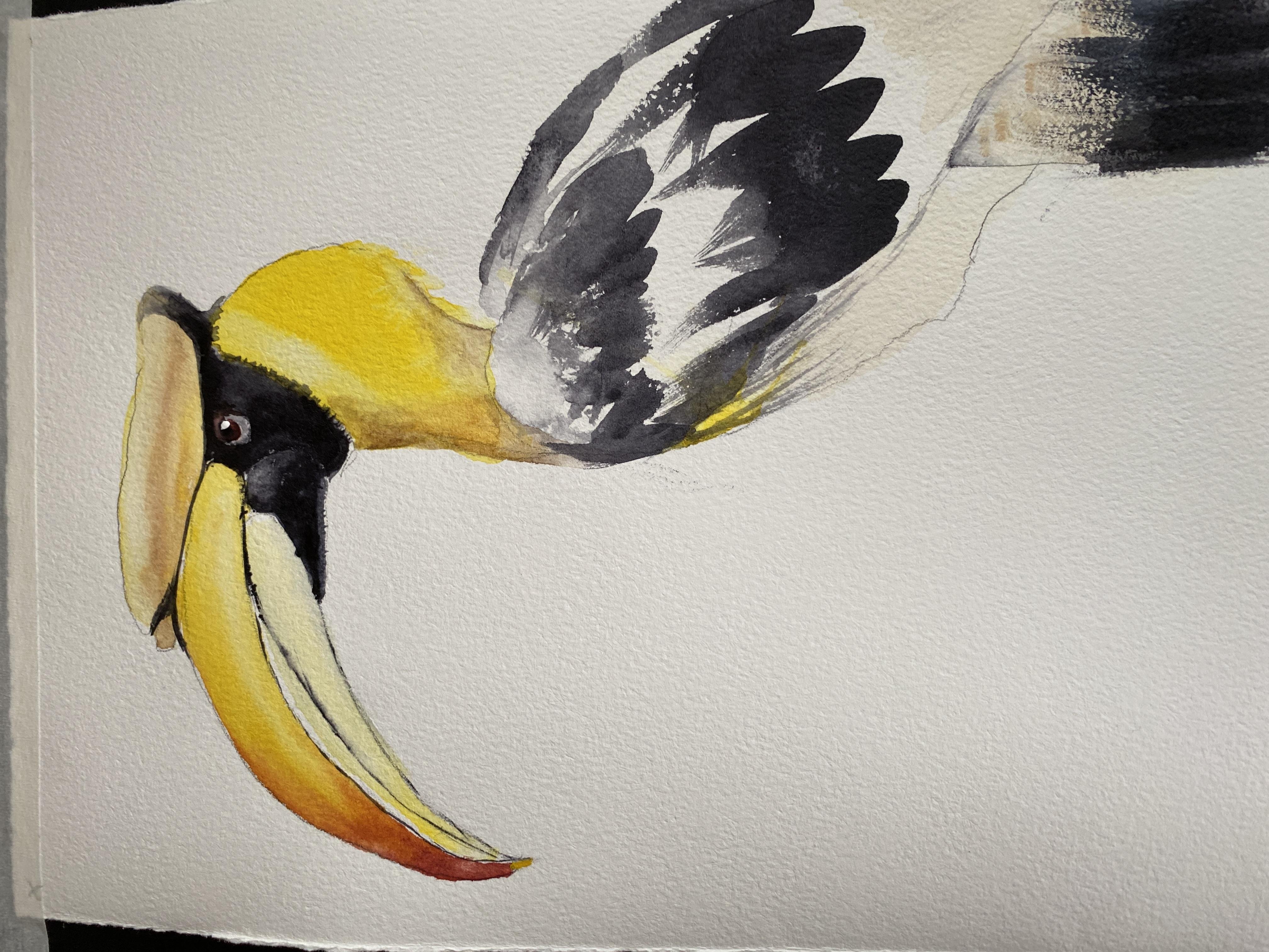 Hornbill - student project