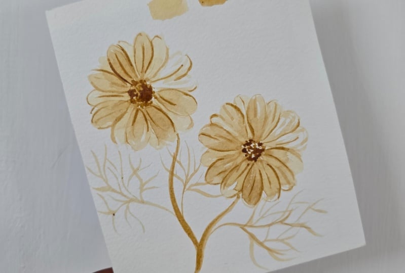 Cosmos
