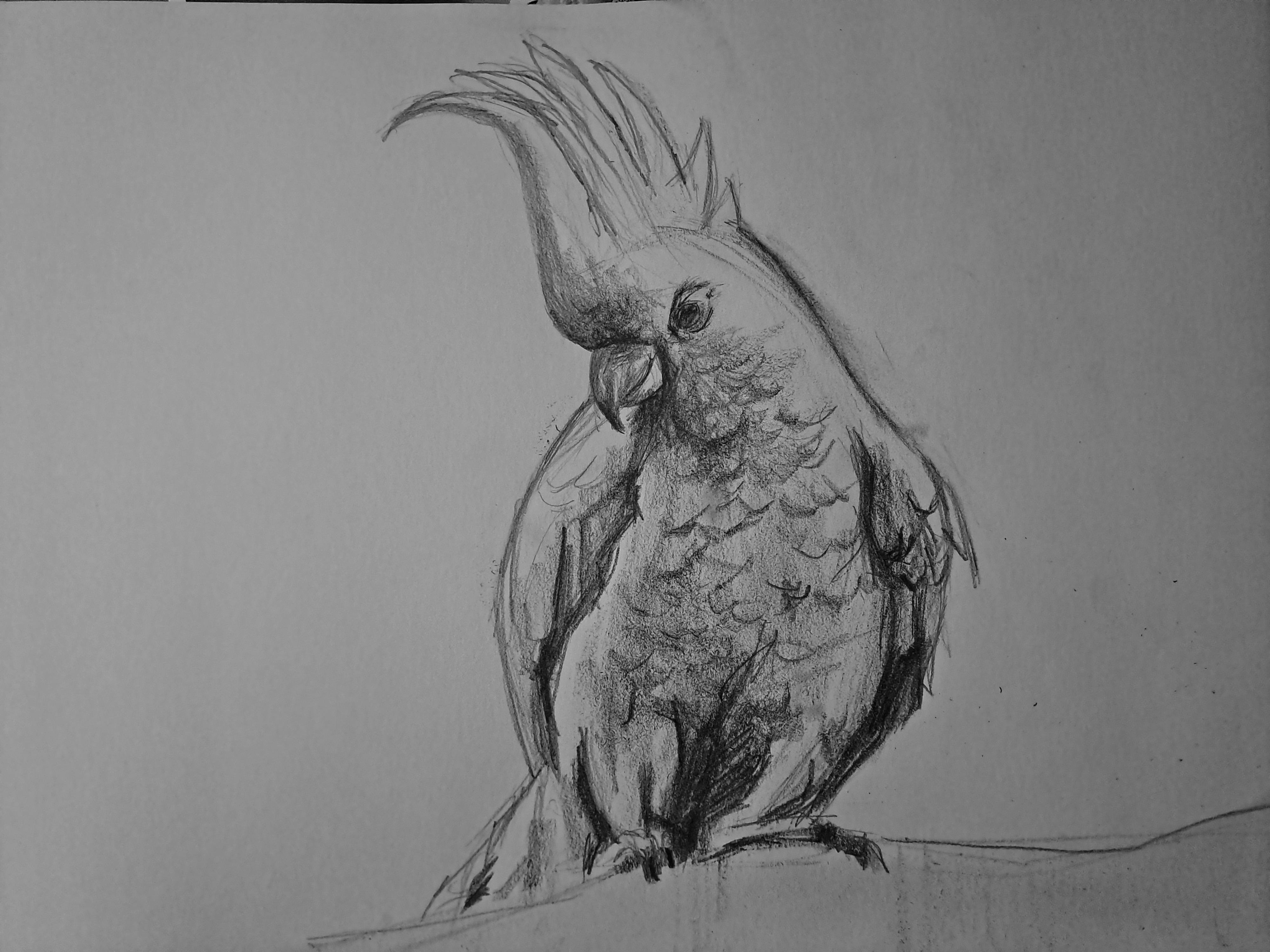 more-projects-from-class-img