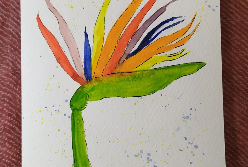 Mini class Bird of Paradise