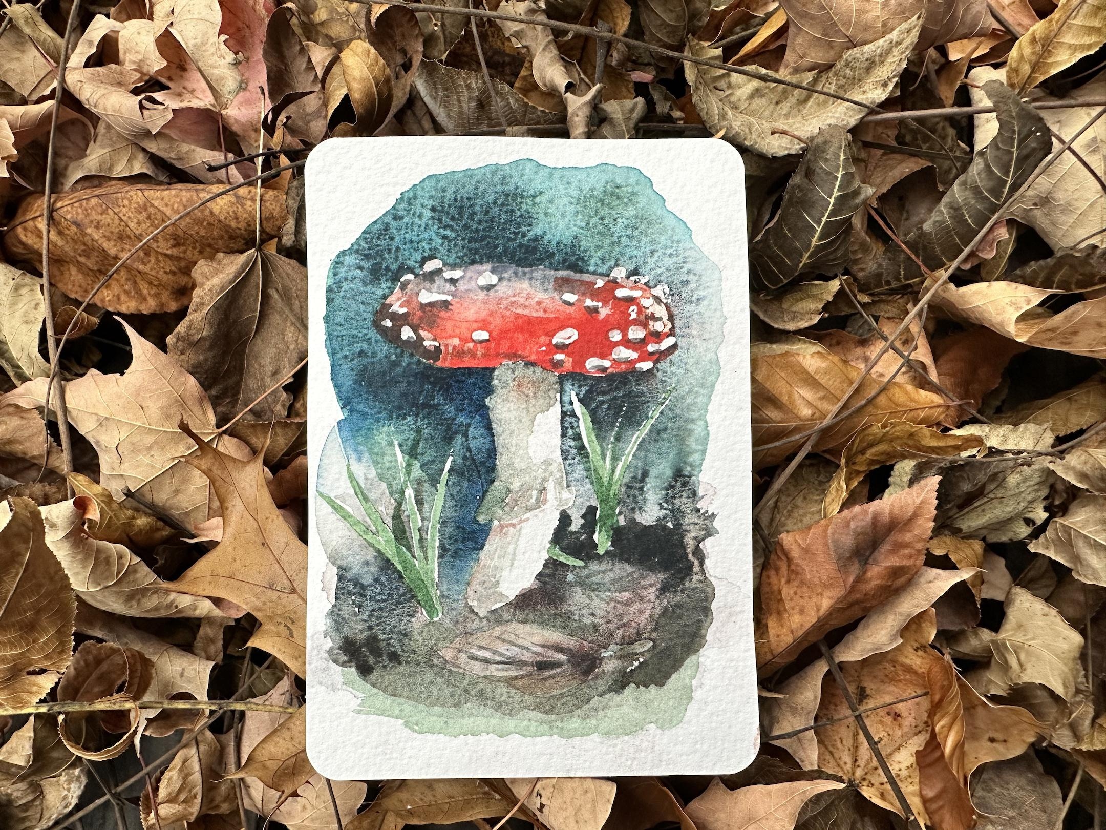 Woodland Mushroom Postcard - student project