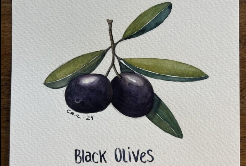 ilustrar vegetales