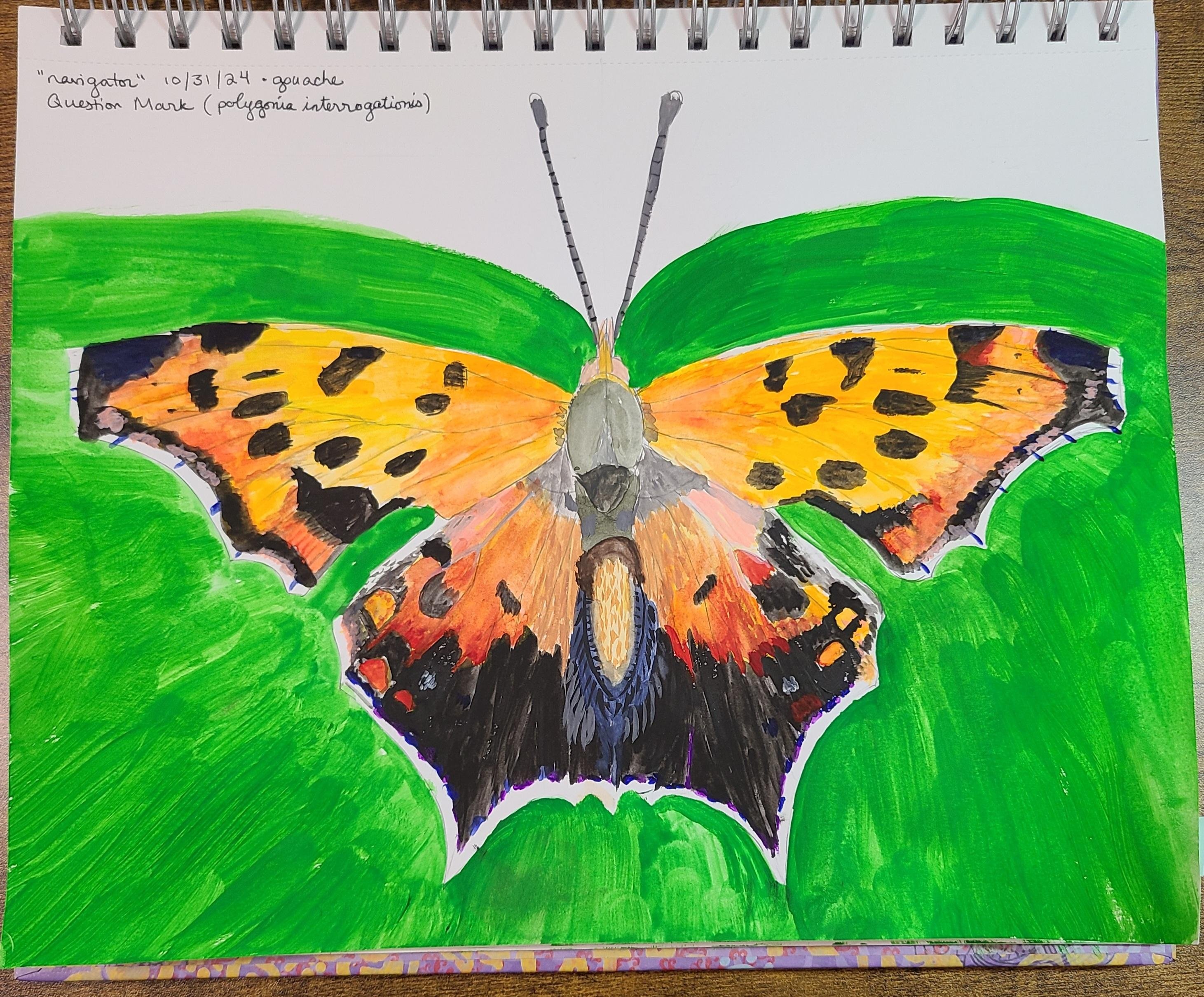 more-projects-from-class-img