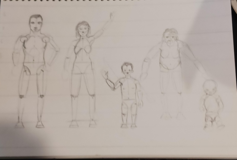 Human proportions