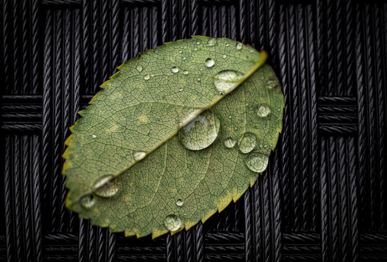 Mindful Photography Day 6 - By a Motivated Procrastinator