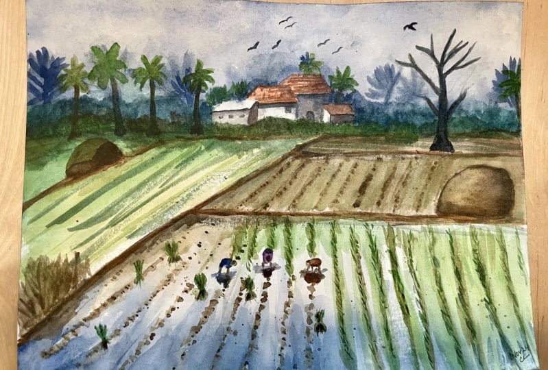 Monsoon fields