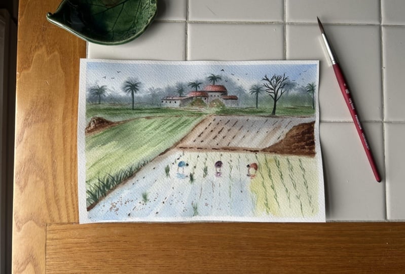 Monsoon Fields