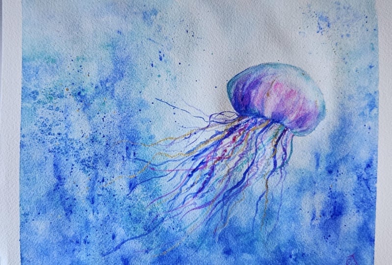 Jelly fish