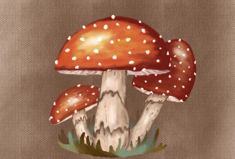 Mushrooms