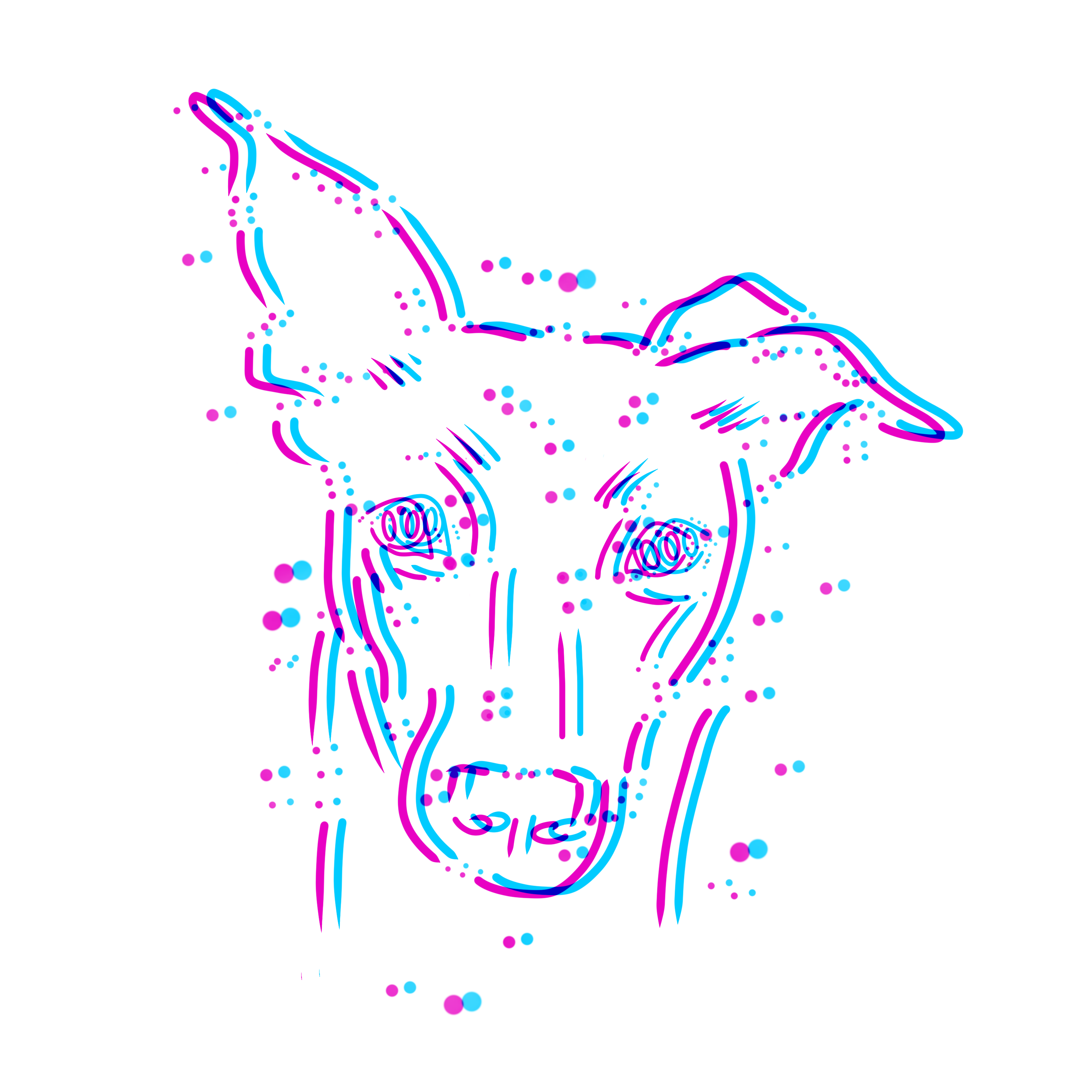 more-projects-from-class-img