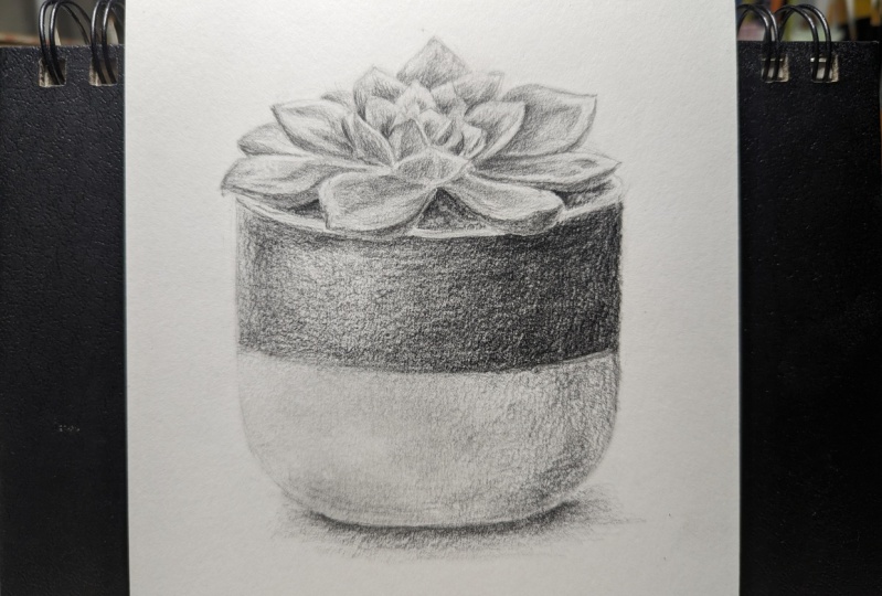 drawing