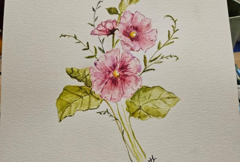 Hollyhock