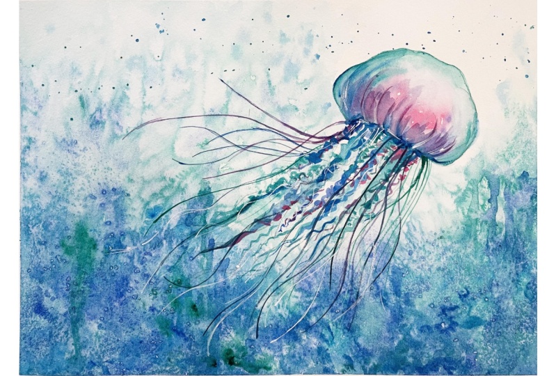Jellyfish
