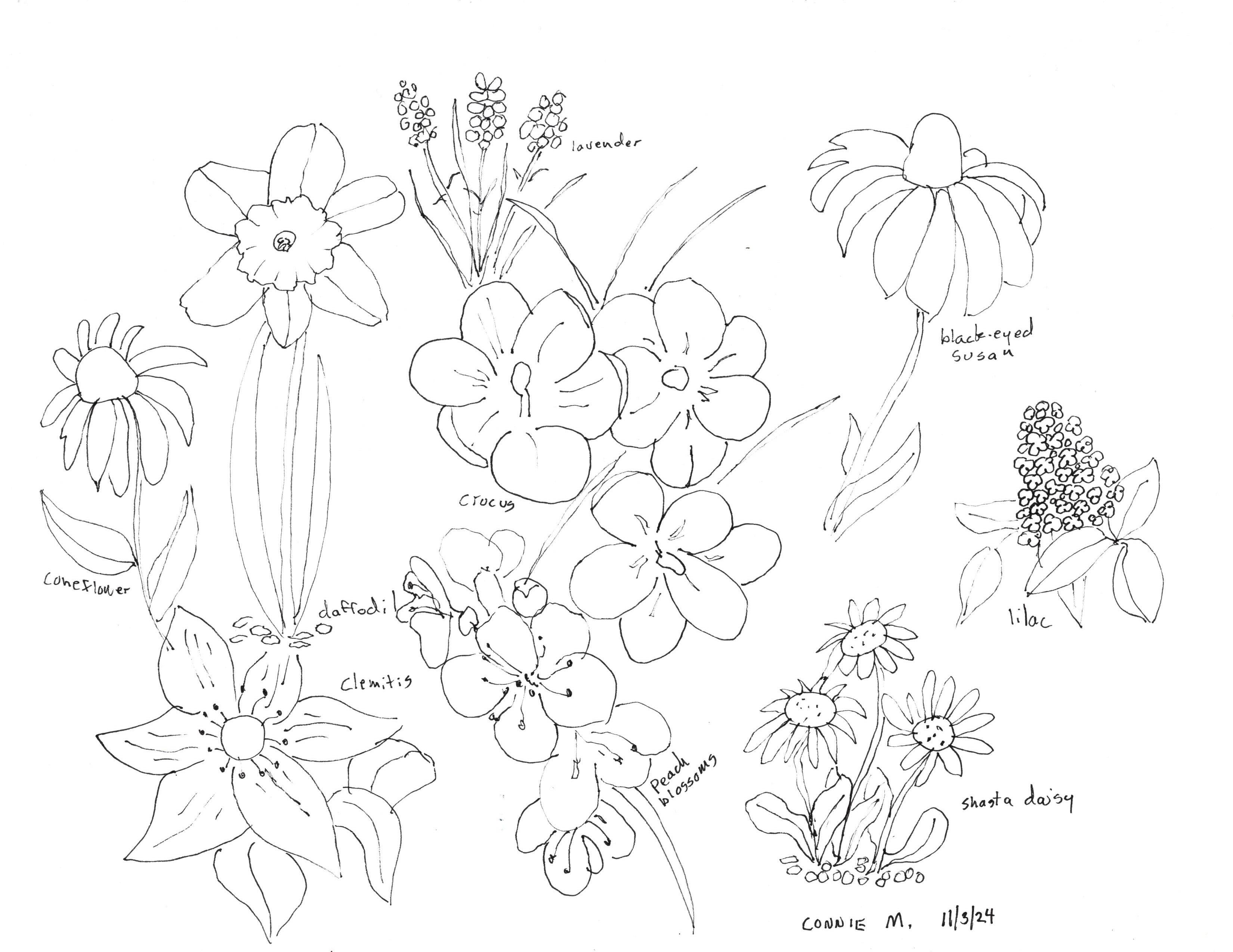 Floral Doodles - student project