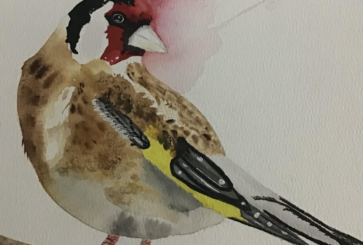 Goldfinch - student project