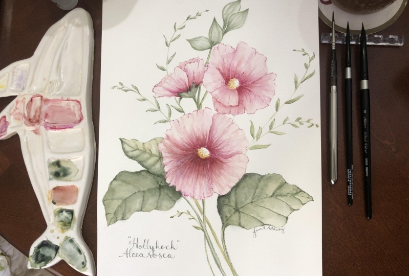 Hollyhocks with Altea