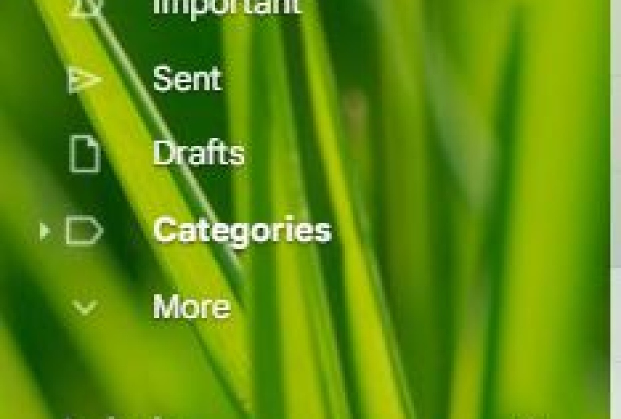 gmail declutter and organize - student project