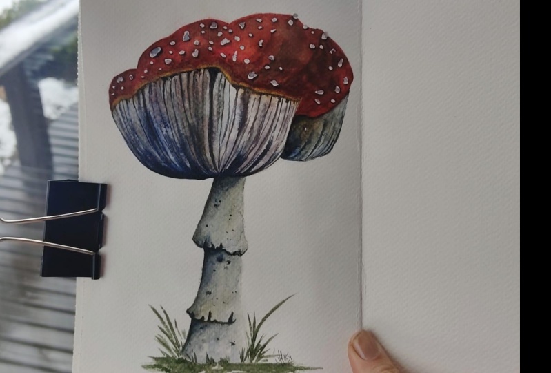 Red Mushroom