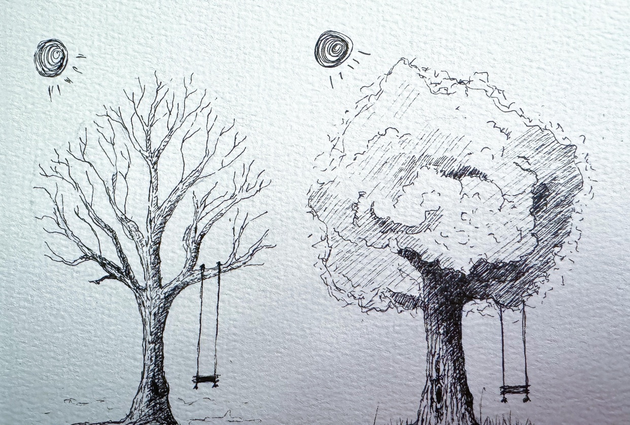 Fall / Spring Trees - student project