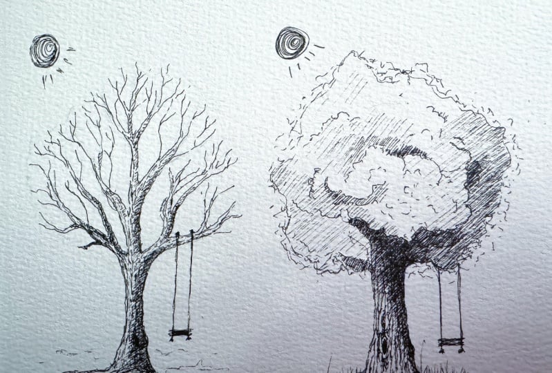 Fall / Spring Trees