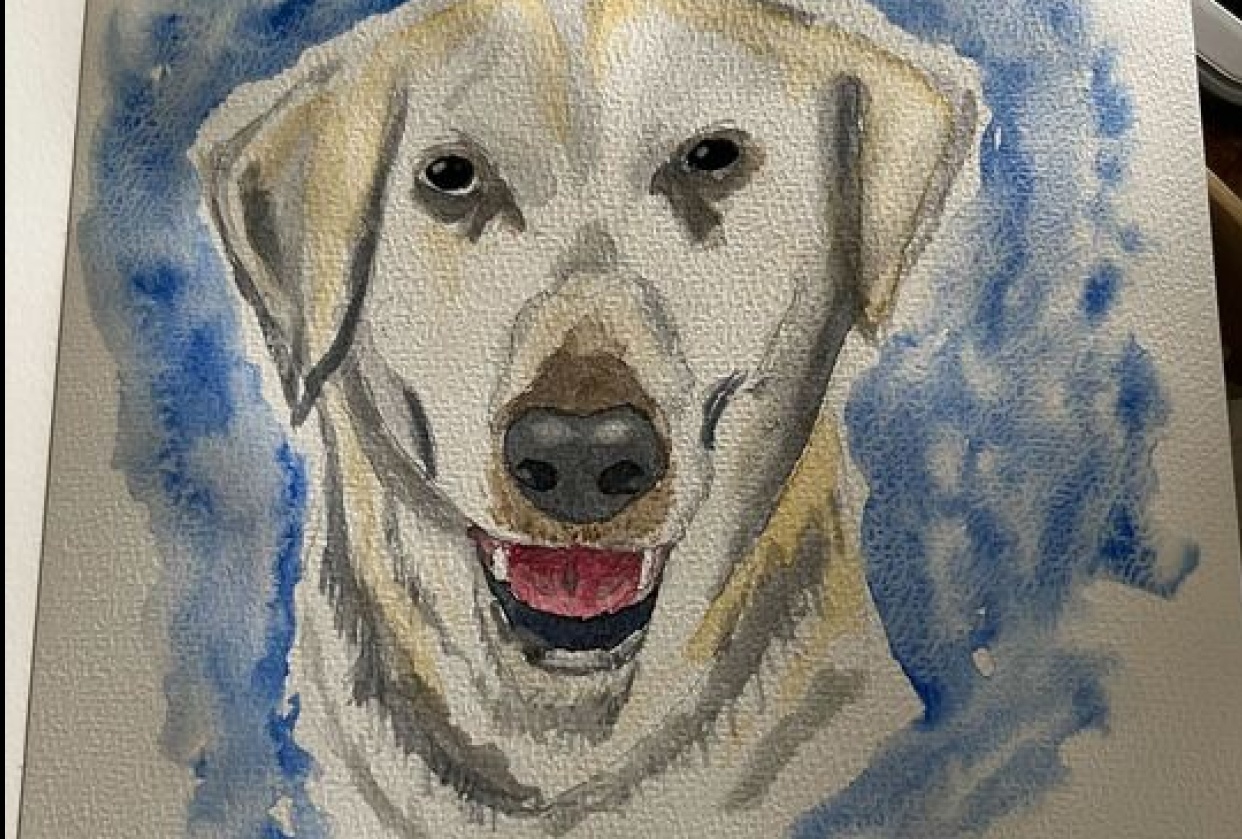 Devil Dog - student project
