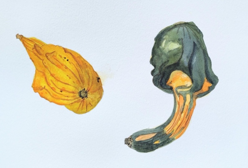 Pumpkin
