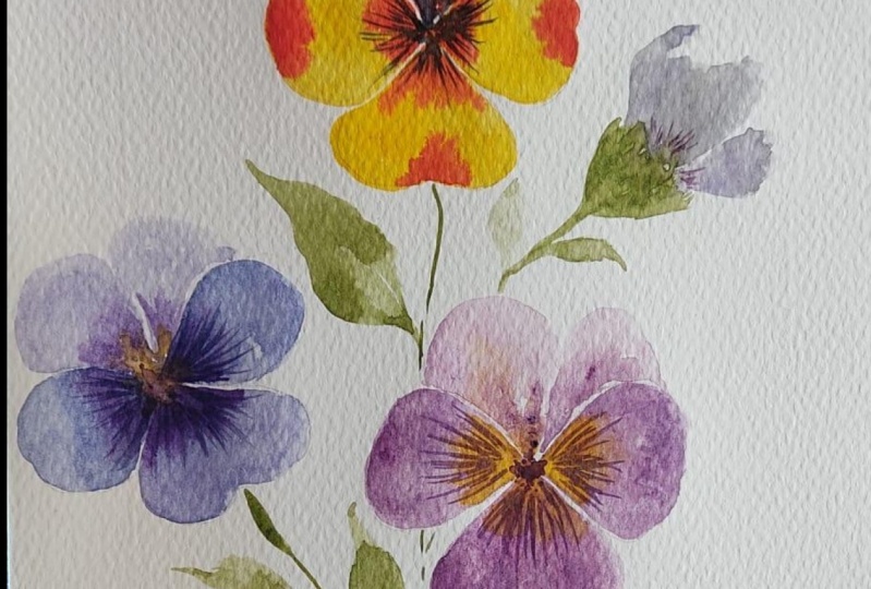 Evereday Watercolor Flowers