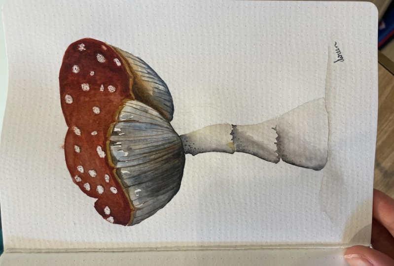 Mushroom