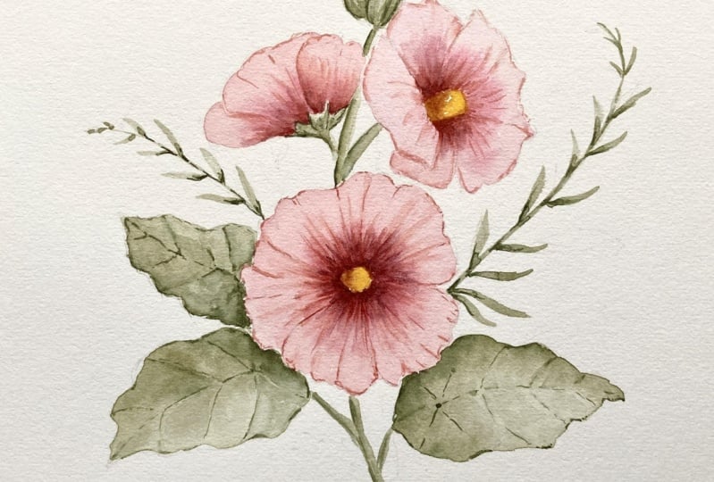 Hollyhock Flower