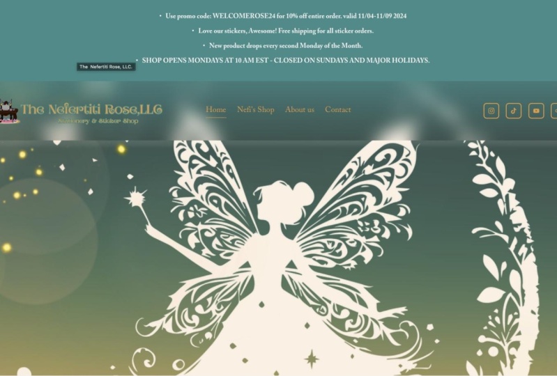 my Squarespace website/store