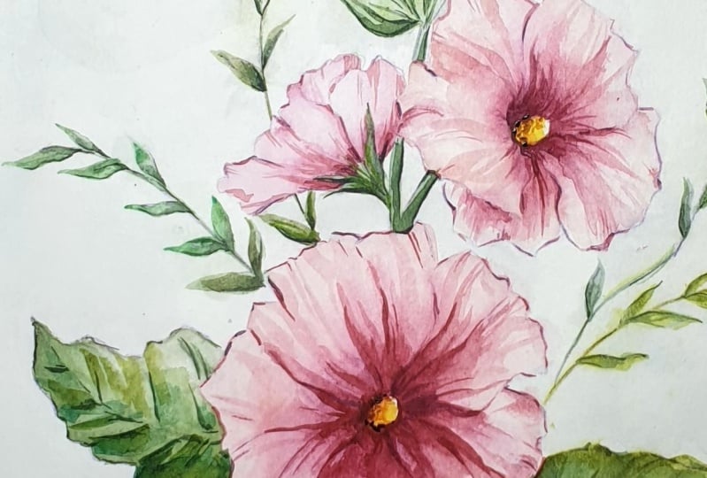 Hollyhocks