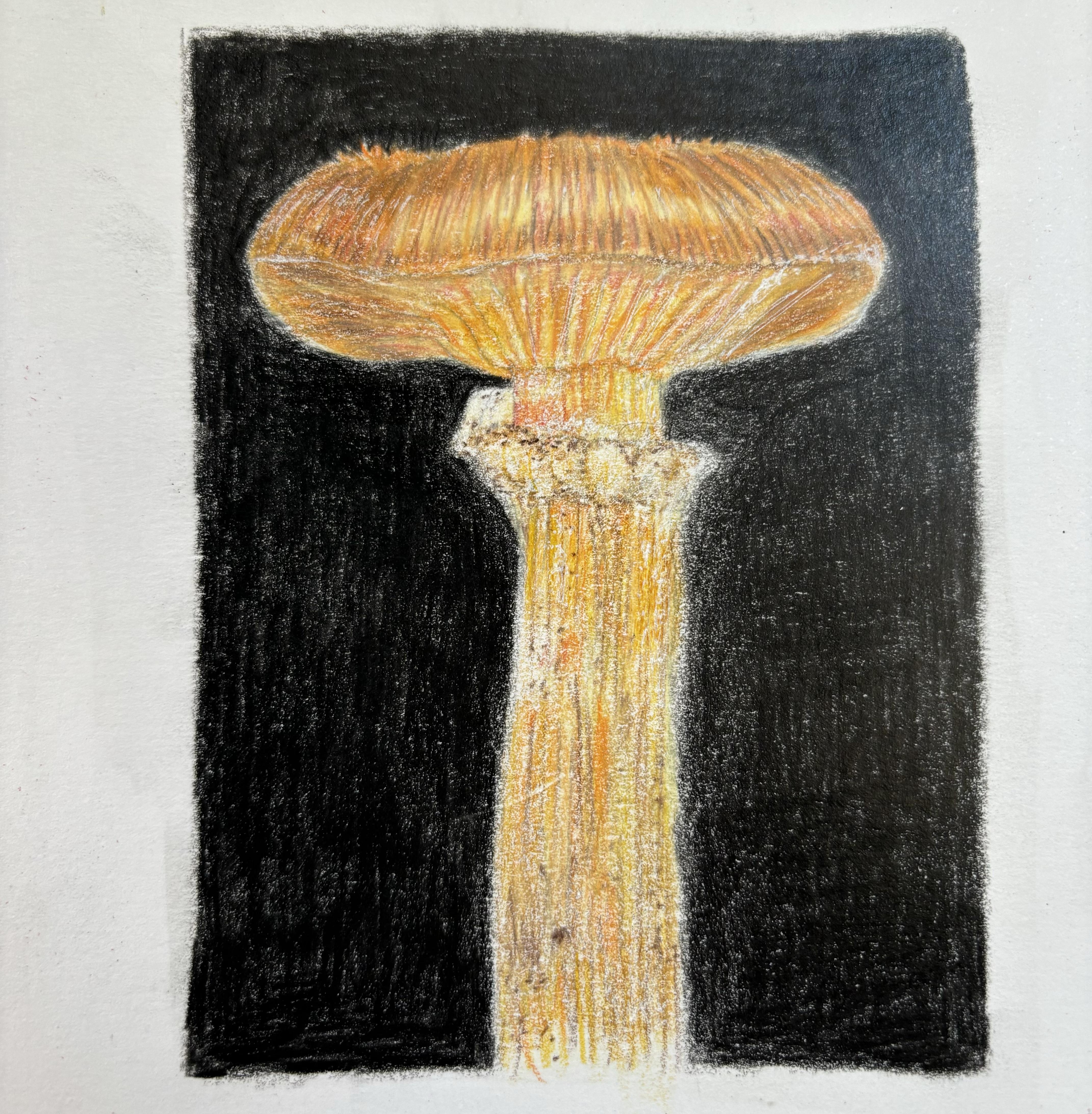 more-projects-from-class-img