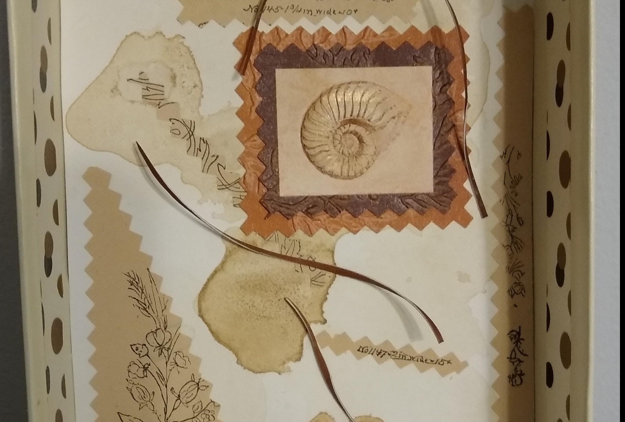 Serenity - student project